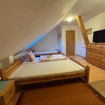 بيت ضيافة Vo Visnovom 3*