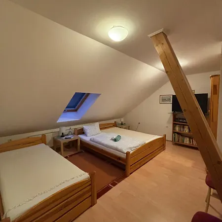 Vo Visnovom בית הארחה 3*