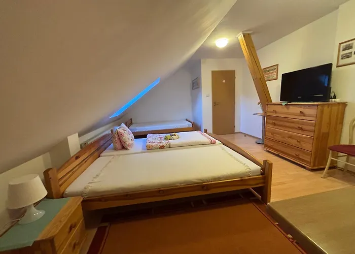 Gæstehus Vo Visnovom 3*