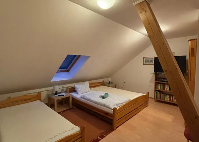 Vo Visnovom Gæstehus 3*